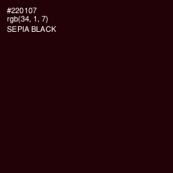 #220107 - Sepia Black Color Image